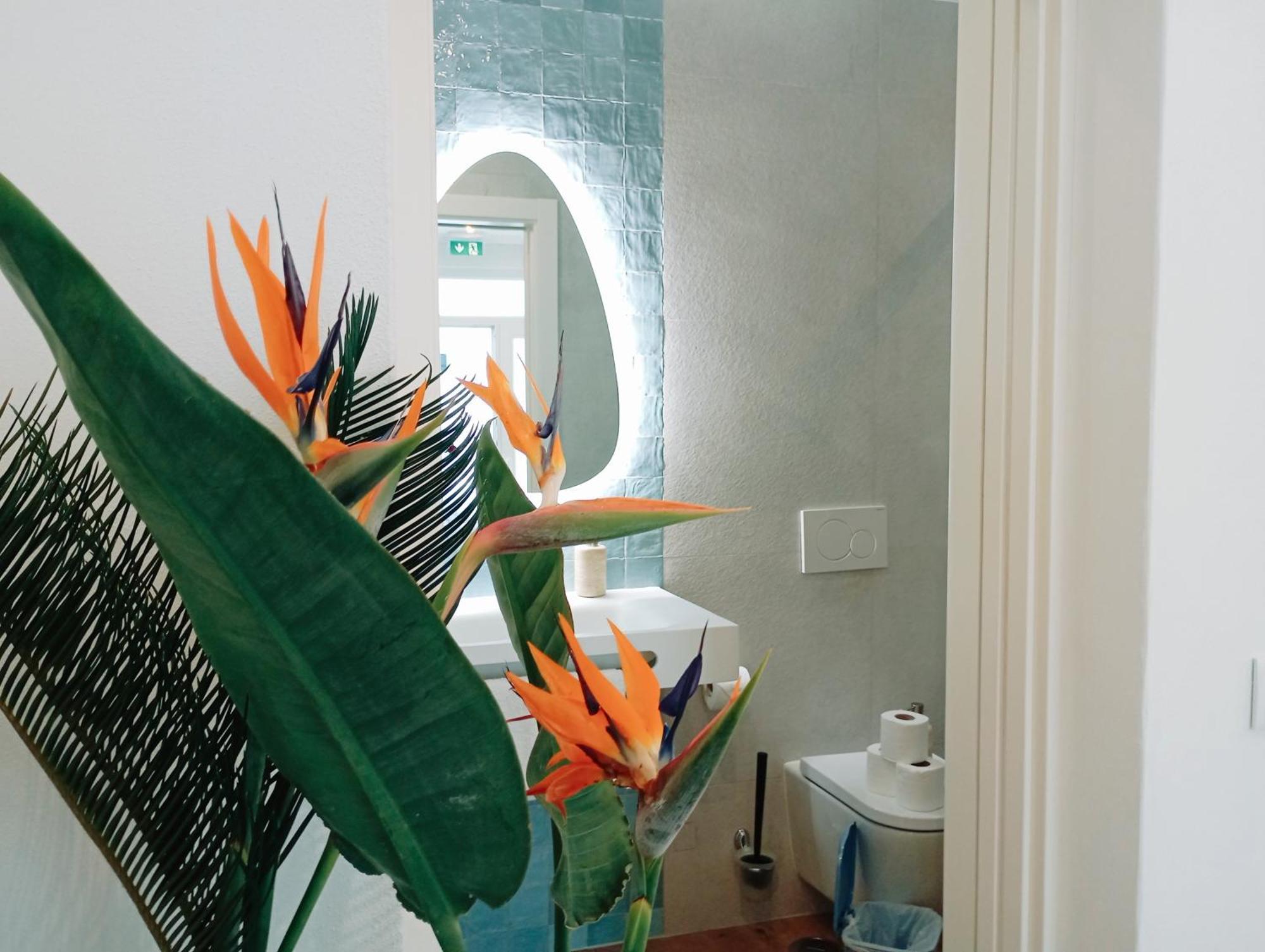 Santa Cruz - Bed and breakfast *